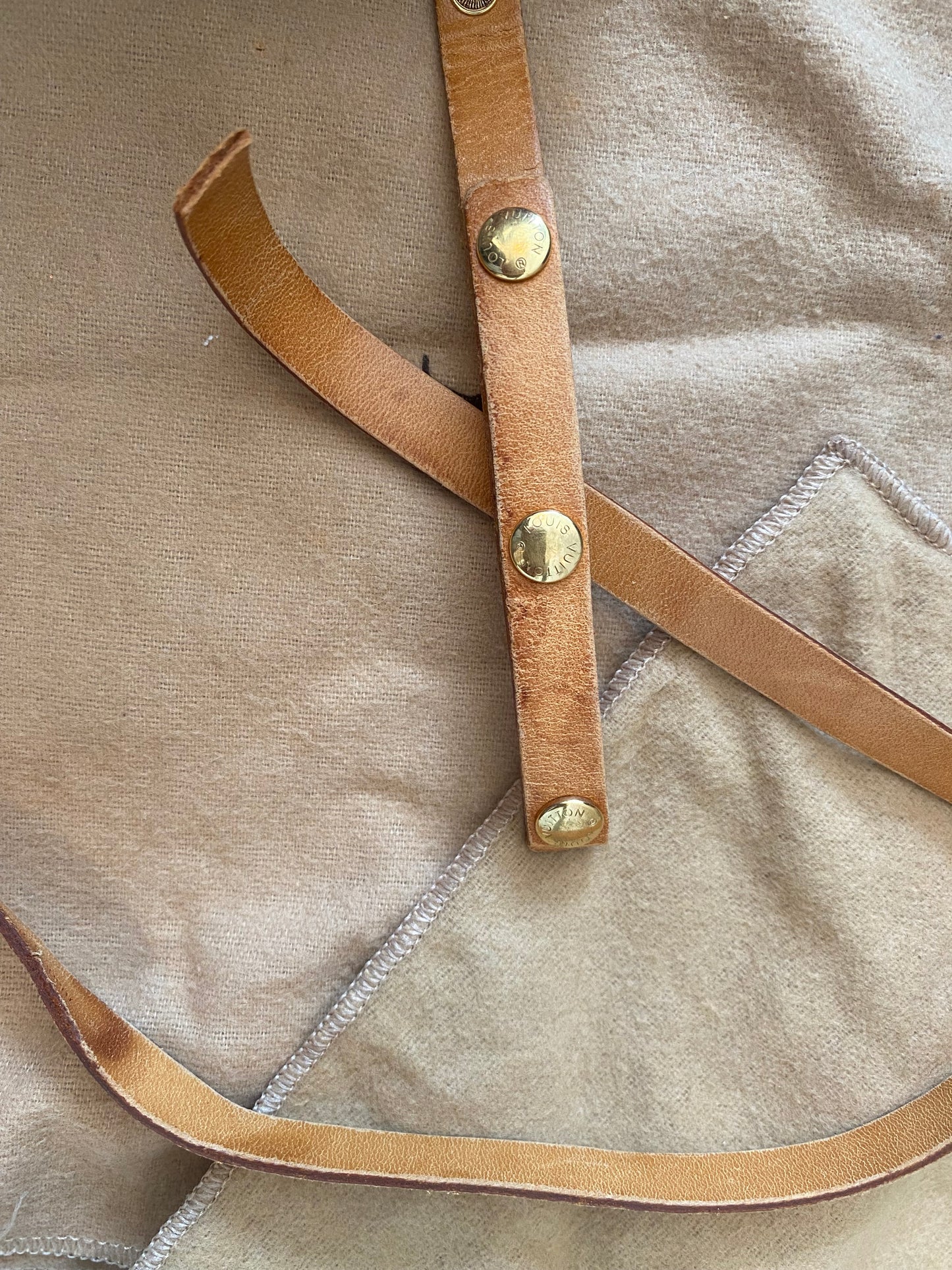Louis Vuitton Florentine Monogram Canvas