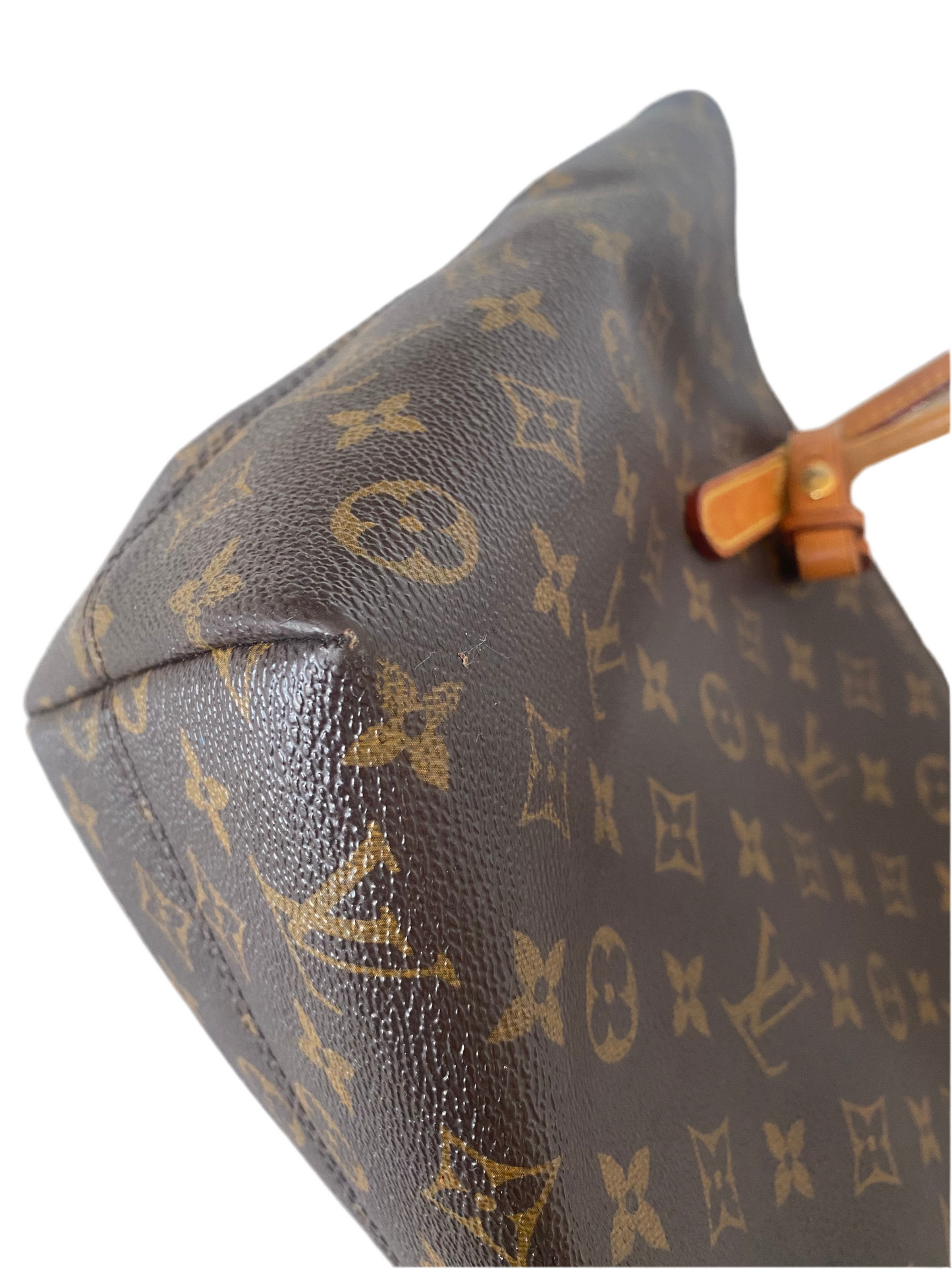 Louis Vuitton Raspail PM Monogram Canvas
