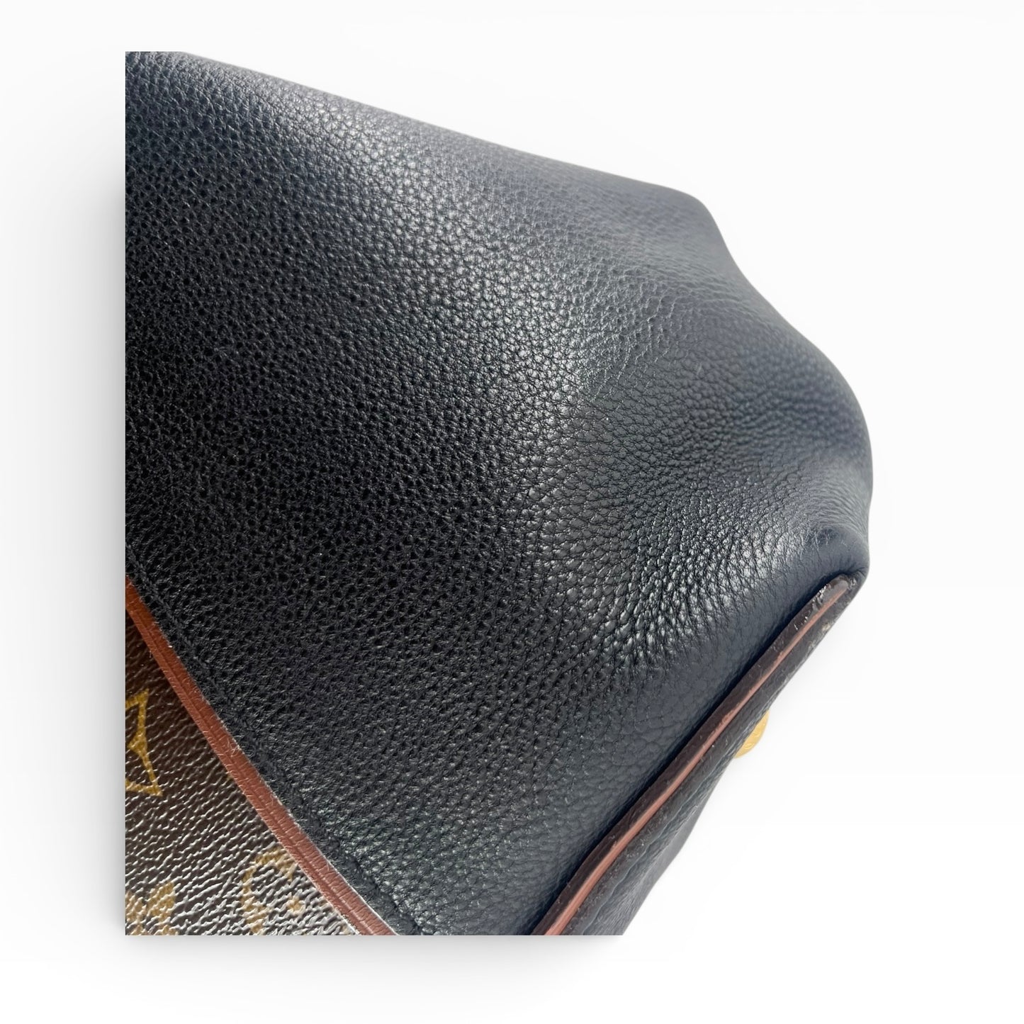 Louis Vuitton W Tote PM