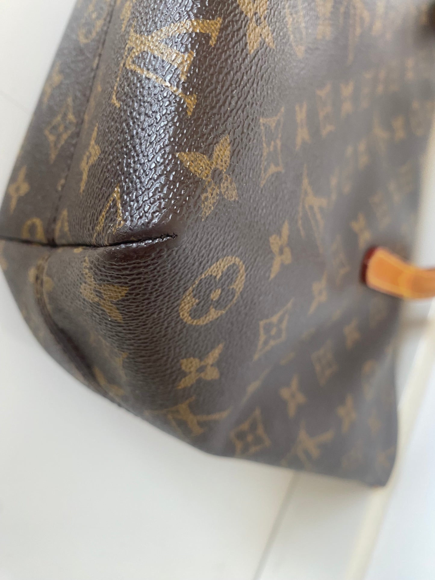 Louis Vuitton Raspail PM Monogram Canvas