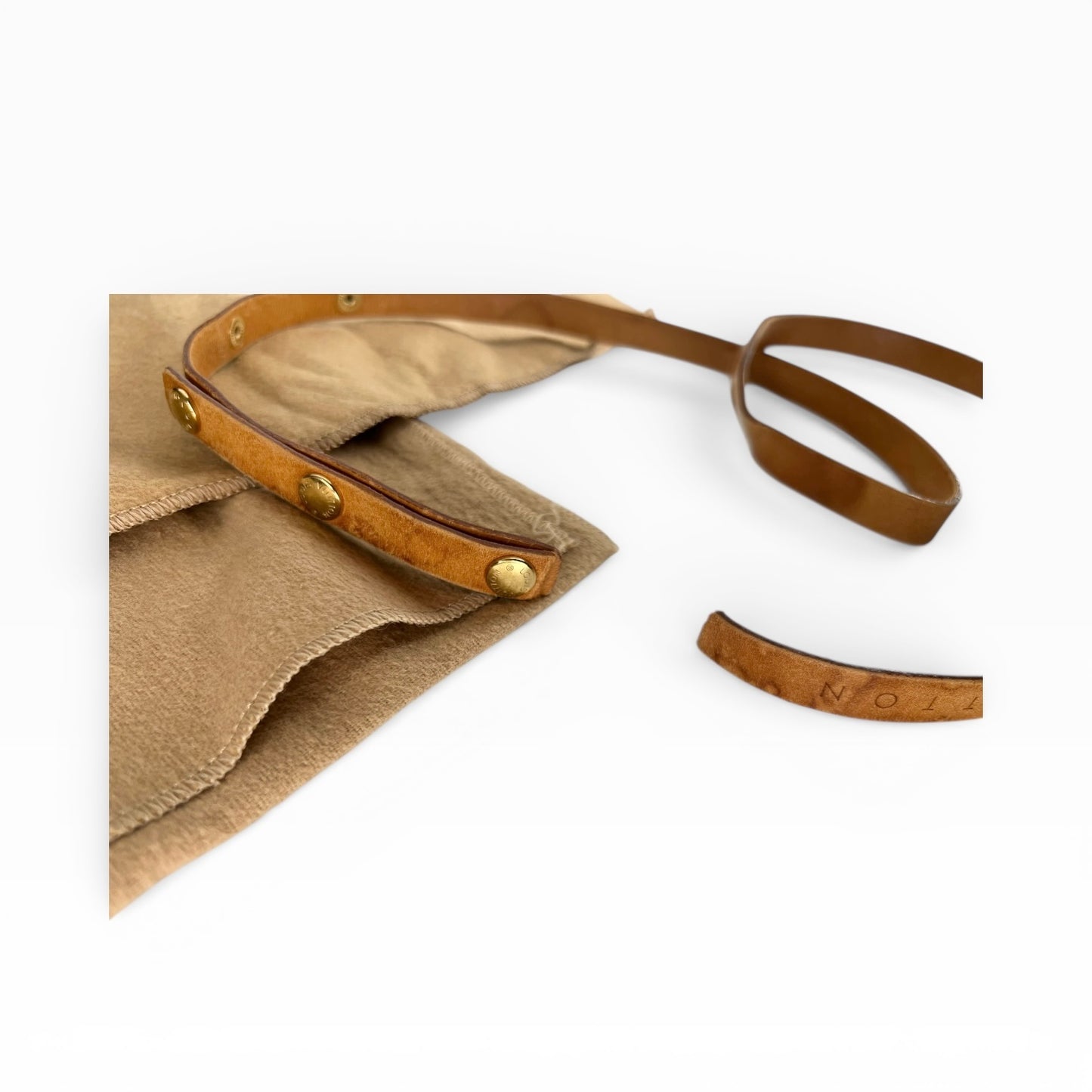 Louis Vuitton Florentine Monogram Canvas