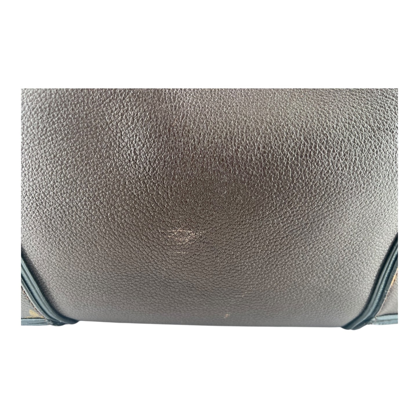 Louis Vuitton W Tote – Monogram Canvas und Veau Cachemire