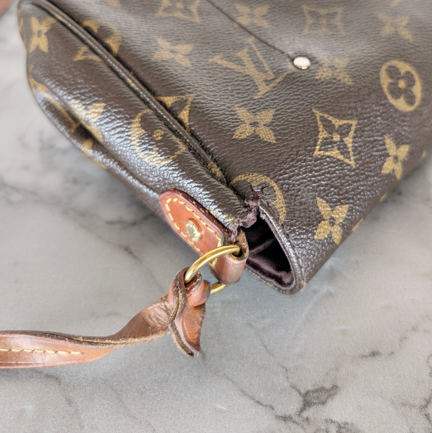 Louis Vuitton Favorite- Monogram Canvas